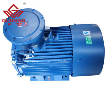 防爆電機(jī)